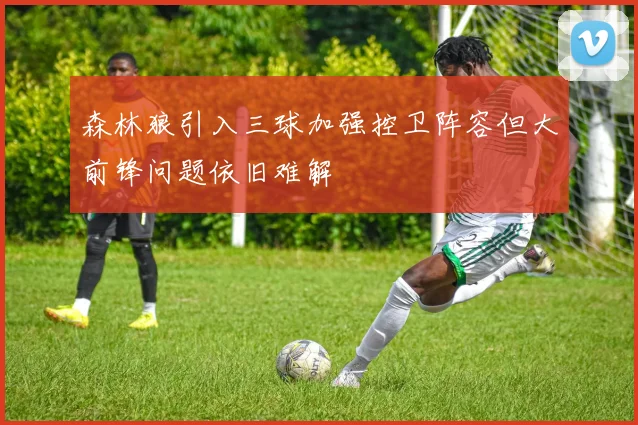 森林狼引入三球加强控卫阵容但大前锋问题依旧难解